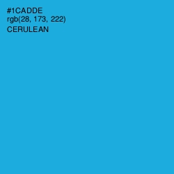 #1CADDE - Cerulean Color Image