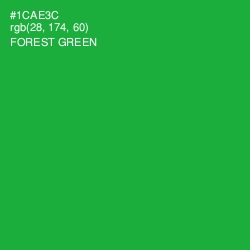 #1CAE3C - Forest Green Color Image