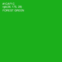 #1CAF1C - Forest Green Color Image