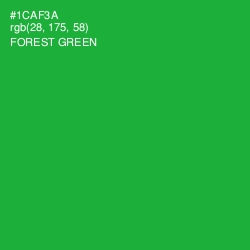 #1CAF3A - Forest Green Color Image