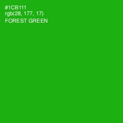 #1CB111 - Forest Green Color Image