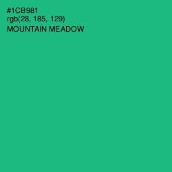 #1CB981 - Mountain Meadow Color Image