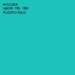 #1CC3BA - Puerto Rico Color Image