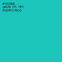 #1CC5BB - Puerto Rico Color Image
