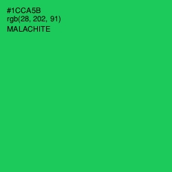 #1CCA5B - Malachite Color Image