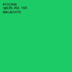 #1CCA66 - Malachite Color Image