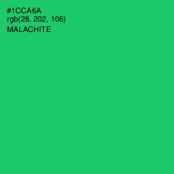 #1CCA6A - Malachite Color Image