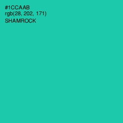 #1CCAAB - Shamrock Color Image