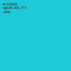 #1CCBD9 - Java Color Image