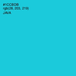 #1CCBDB - Java Color Image
