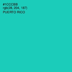 #1CCCBB - Puerto Rico Color Image