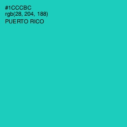 #1CCCBC - Puerto Rico Color Image