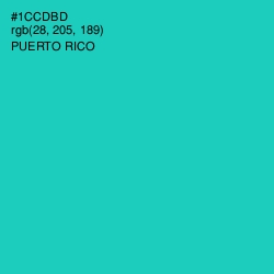 #1CCDBD - Puerto Rico Color Image