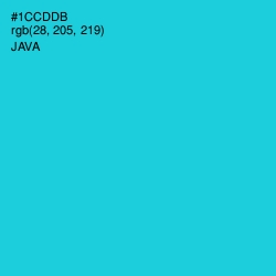 #1CCDDB - Java Color Image