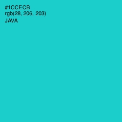 #1CCECB - Java Color Image
