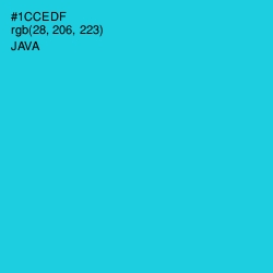 #1CCEDF - Java Color Image