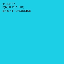#1CCFE7 - Bright Turquoise Color Image