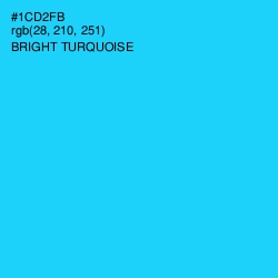 #1CD2FB - Bright Turquoise Color Image