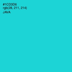 #1CD3D6 - Java Color Image