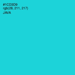 #1CD3D9 - Java Color Image