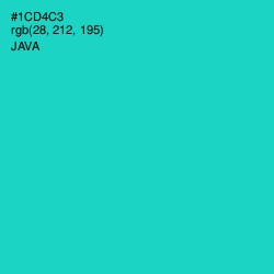 #1CD4C3 - Java Color Image