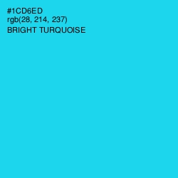 #1CD6ED - Bright Turquoise Color Image