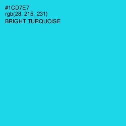 #1CD7E7 - Bright Turquoise Color Image