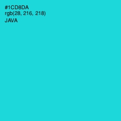 #1CD8DA - Java Color Image