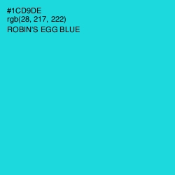 #1CD9DE - Robin's Egg Blue Color Image