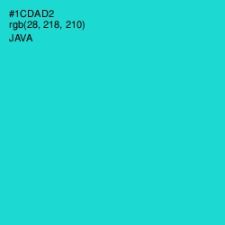 #1CDAD2 - Java Color Image