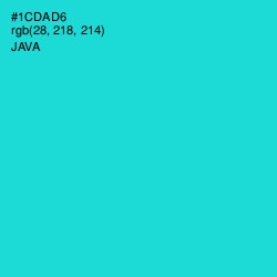 #1CDAD6 - Java Color Image