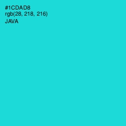 #1CDAD8 - Java Color Image