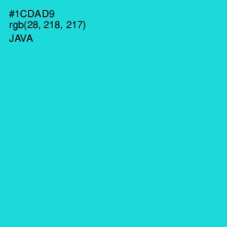 #1CDAD9 - Java Color Image