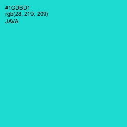 #1CDBD1 - Java Color Image