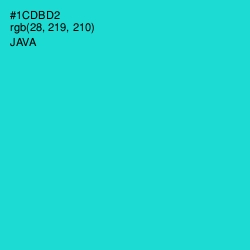 #1CDBD2 - Java Color Image