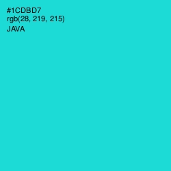 #1CDBD7 - Java Color Image