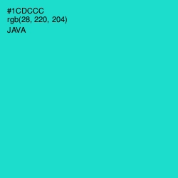 #1CDCCC - Java Color Image