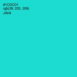 #1CDCD1 - Java Color Image