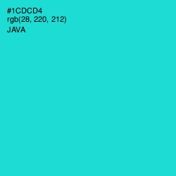 #1CDCD4 - Java Color Image