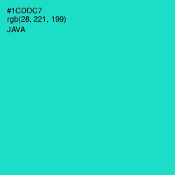 #1CDDC7 - Java Color Image