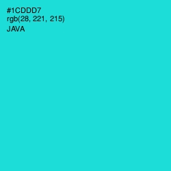 #1CDDD7 - Java Color Image