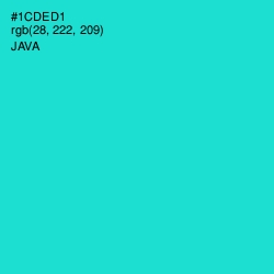 #1CDED1 - Java Color Image