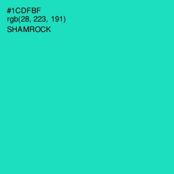 #1CDFBF - Shamrock Color Image