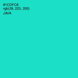 #1CDFC8 - Java Color Image