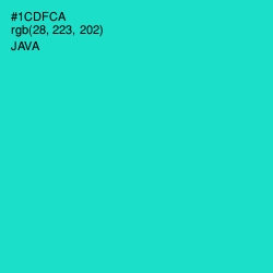 #1CDFCA - Java Color Image