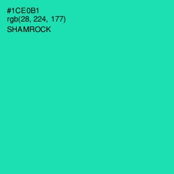 #1CE0B1 - Shamrock Color Image