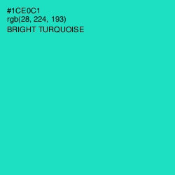 #1CE0C1 - Bright Turquoise Color Image