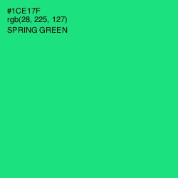 #1CE17F - Spring Green Color Image