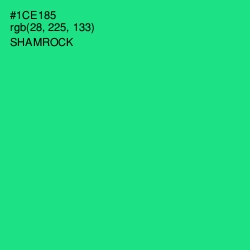 #1CE185 - Shamrock Color Image