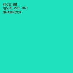 #1CE1BB - Shamrock Color Image